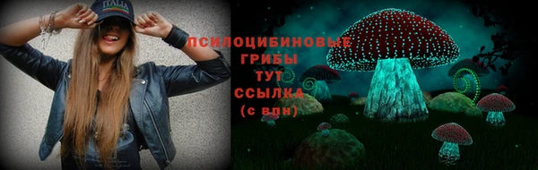 прущий лед Куйбышев