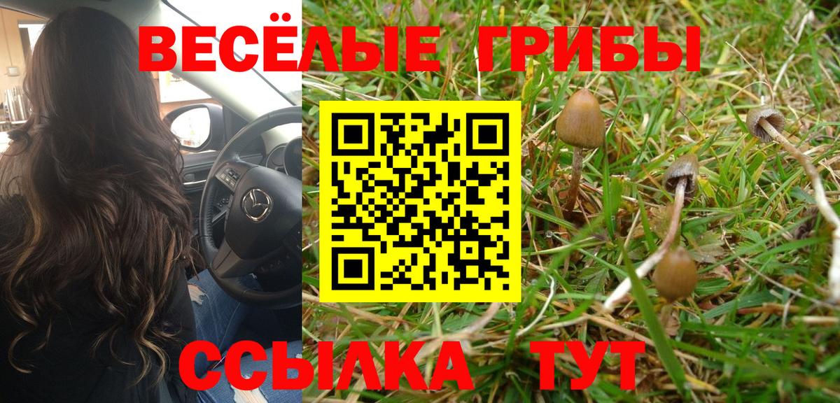 Псилоцибиновые грибы ЛСД Балашиха