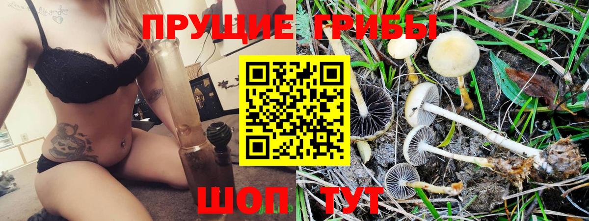 Галлюциногенные грибы Psilocybine cubensis Балашиха