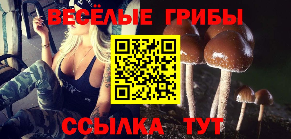 Галлюциногенные грибы MAGIC MUSHROOMS  Галлюциногенные грибы Psilocybe  Балашиха 
