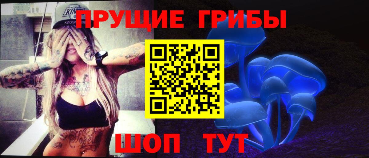 где продают   Псилоцибиновые грибы Magic Shrooms  Вход с VPN  Балашиха 